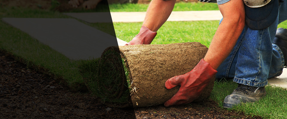 Machesney Park Landscapers